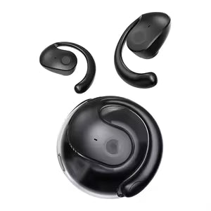 translation earbuds