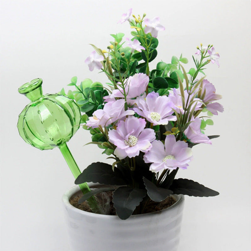 Cactus Self-Watering Plant Globes — owner_01.jpg