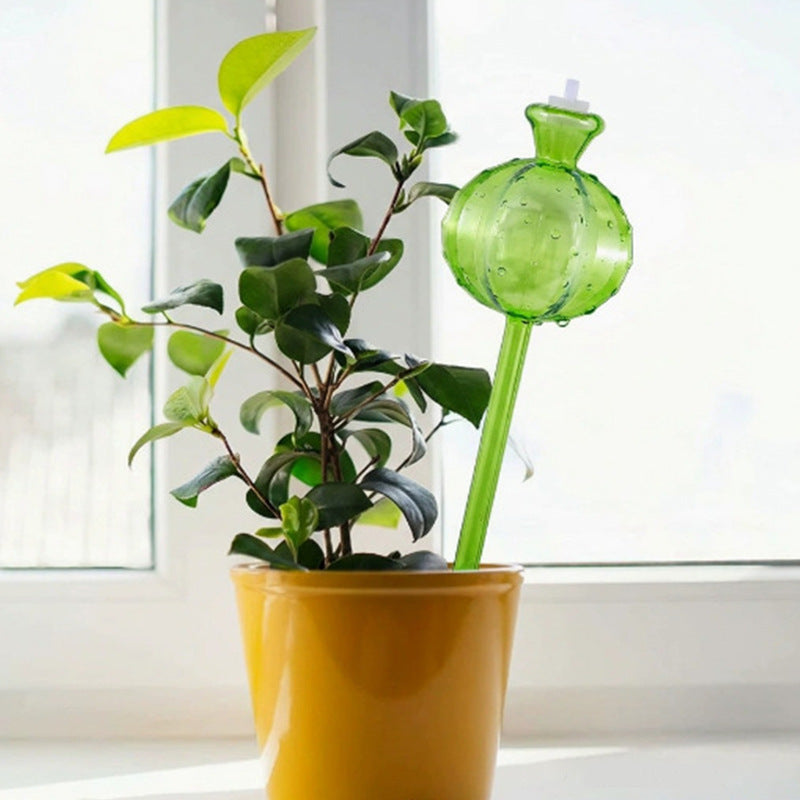 Cactus Self-Watering Plant Globes — owner_02.jpg