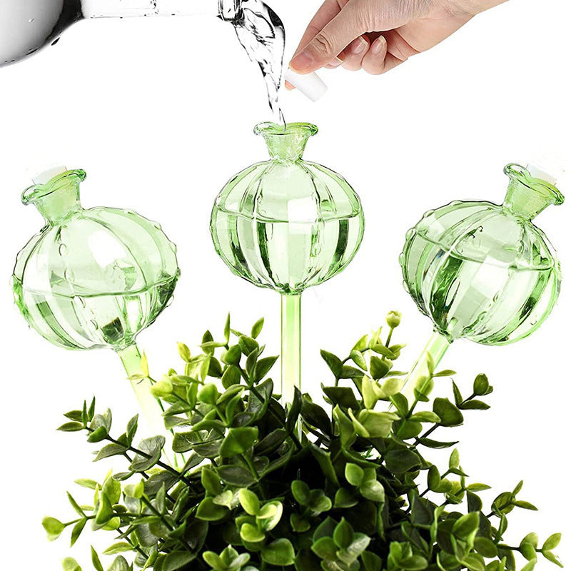 Cactus Self-Watering Plant Globes — owner_04.jpg