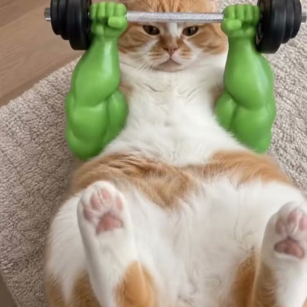 Cat wearing green muscle arms