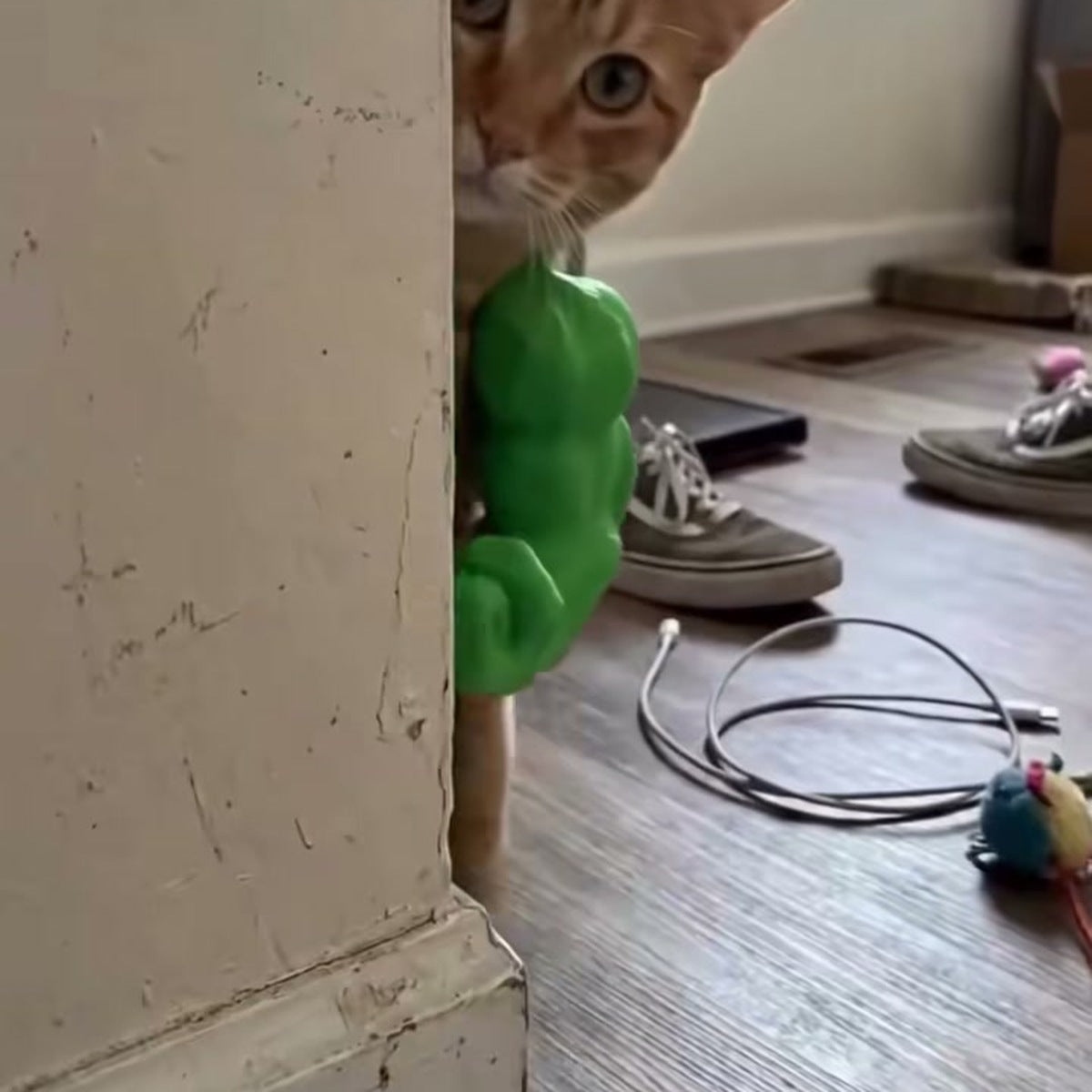 Cat wearing green muscle arms