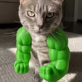 Cat wearing green muscle arms