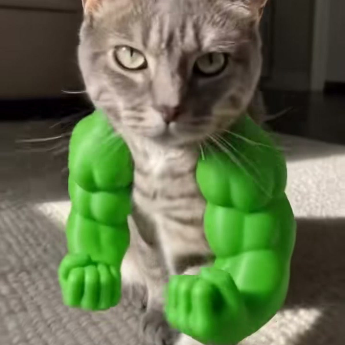 Cat wearing green muscle arms