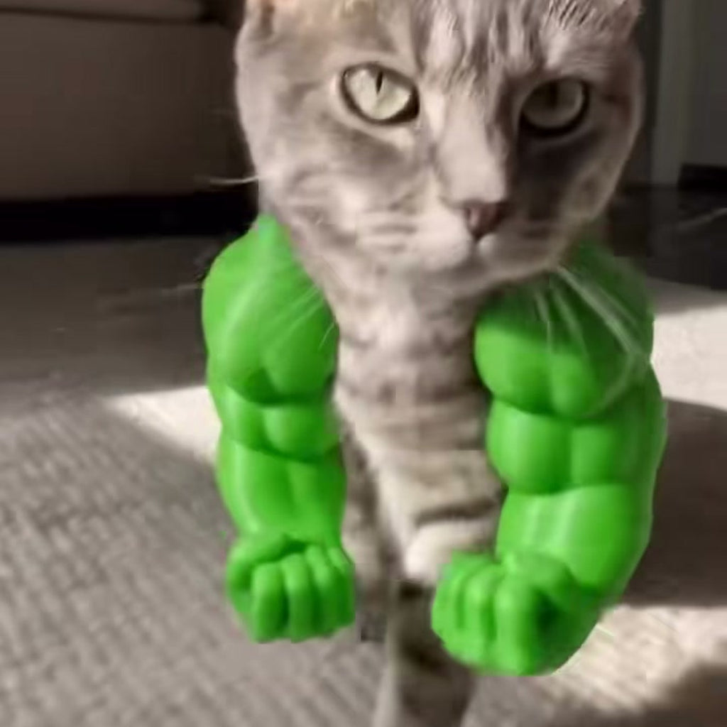 Cat wearing green muscle arms