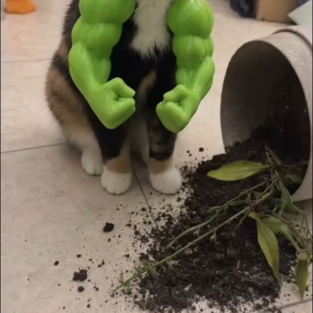 Cat wearing green muscle arms